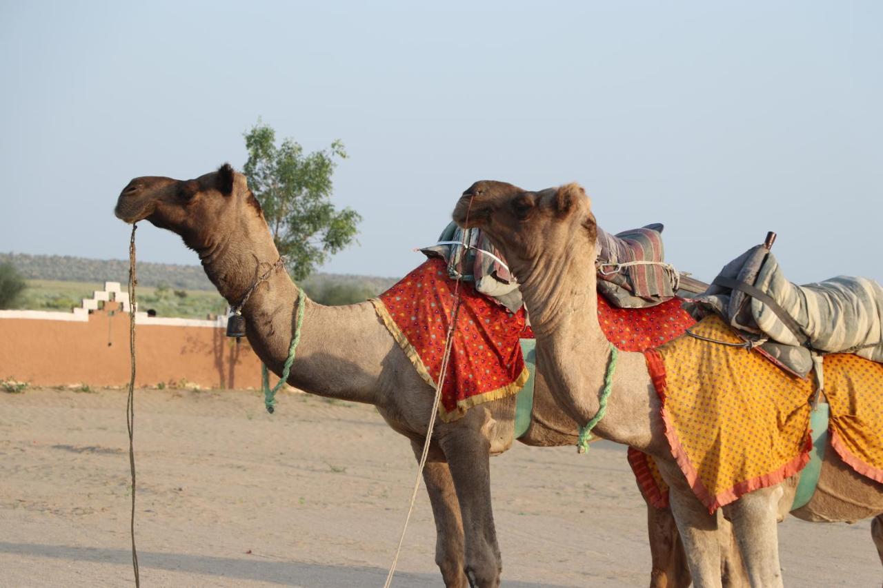 Sunny Desert Camp Kuri Ngoại thất bức ảnh