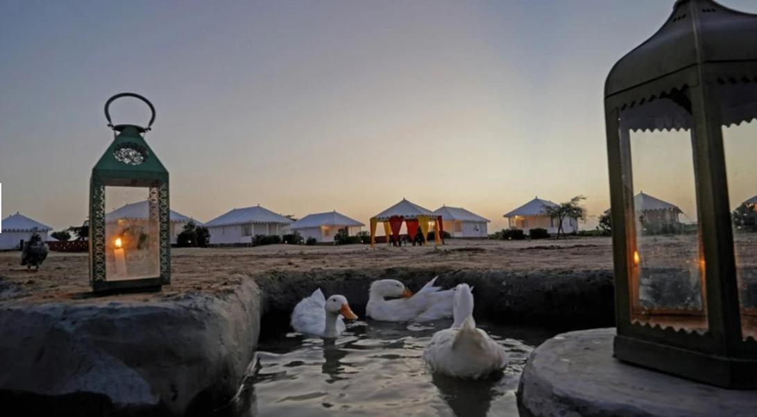 Sunny Desert Camp Kuri Ngoại thất bức ảnh