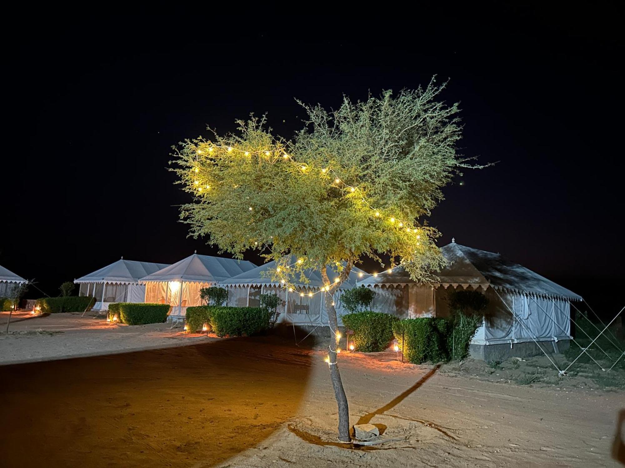 Sunny Desert Camp Kuri Ngoại thất bức ảnh