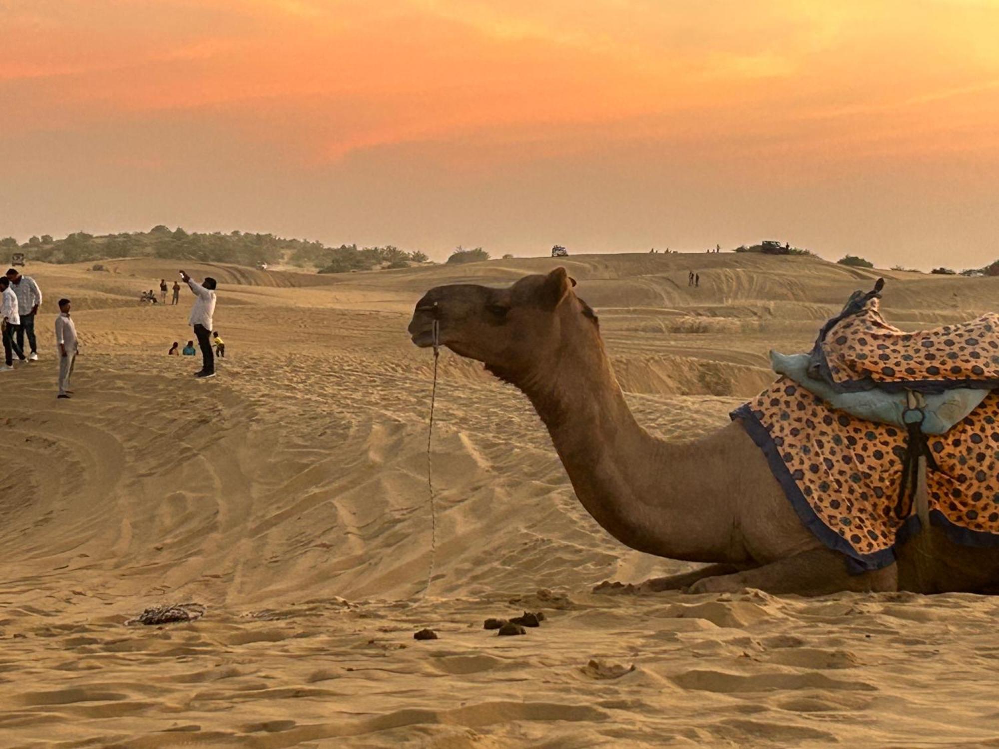 Sunny Desert Camp Kuri Ngoại thất bức ảnh