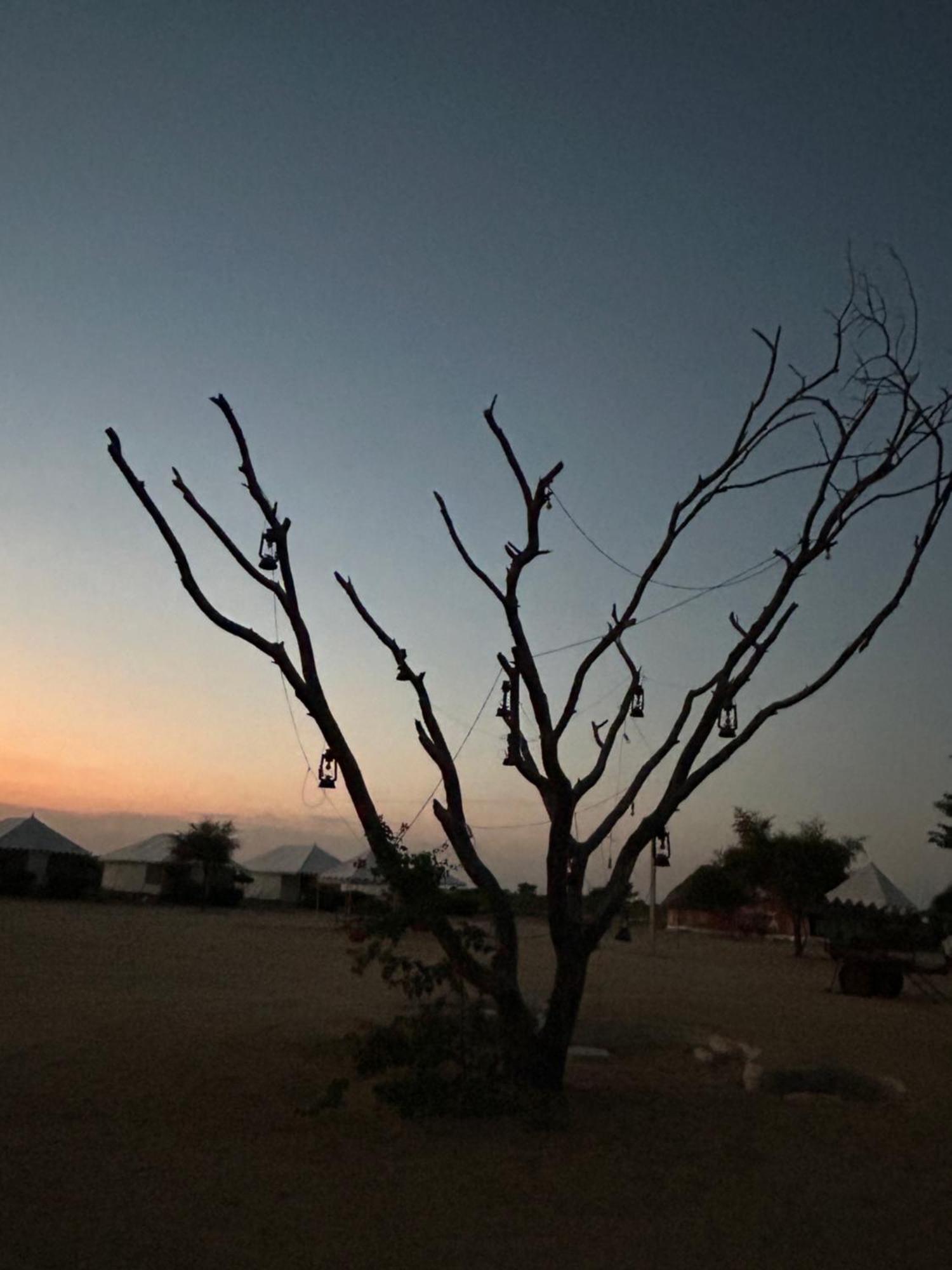Sunny Desert Camp Kuri Ngoại thất bức ảnh