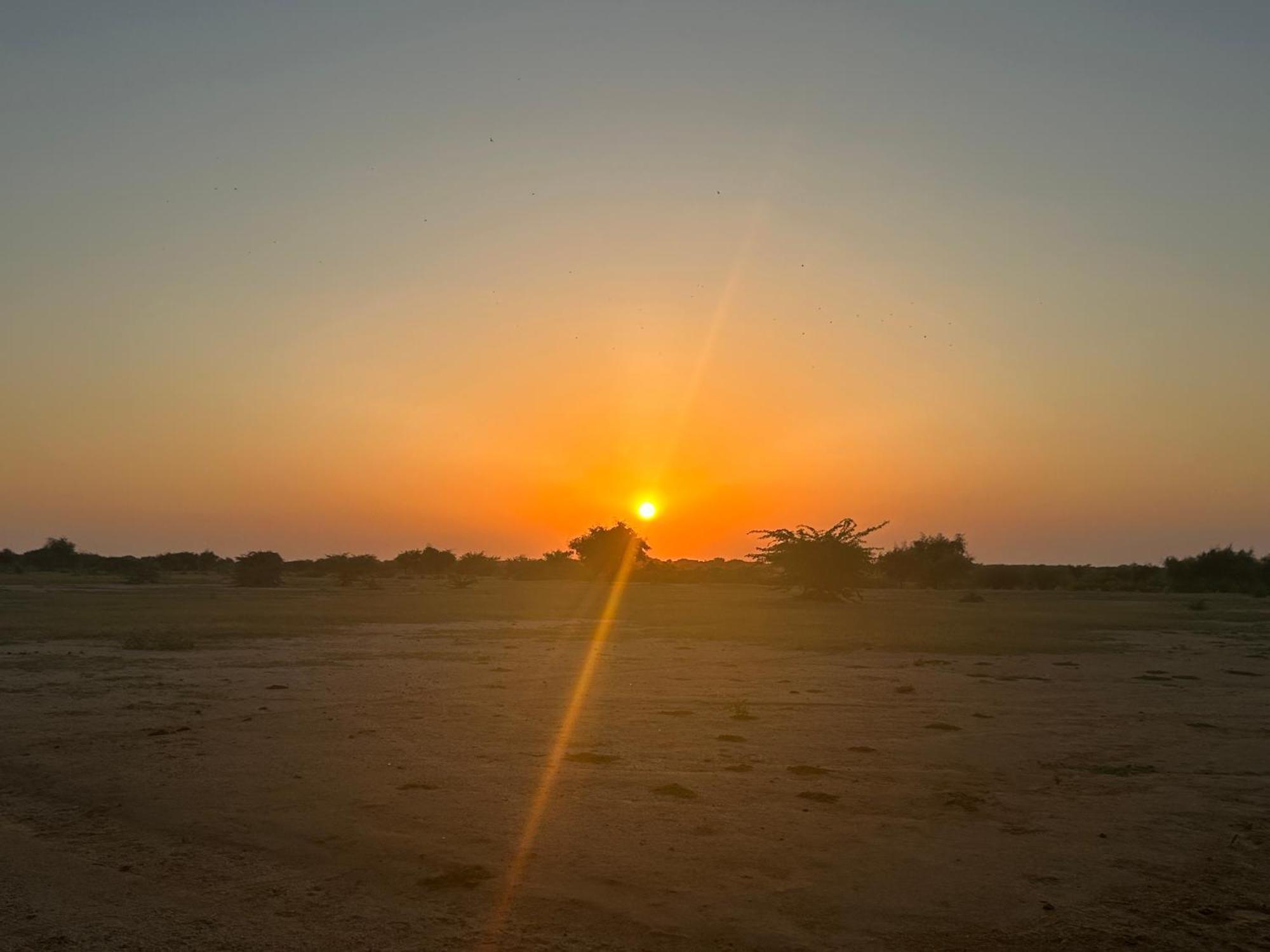 Sunny Desert Camp Kuri Ngoại thất bức ảnh